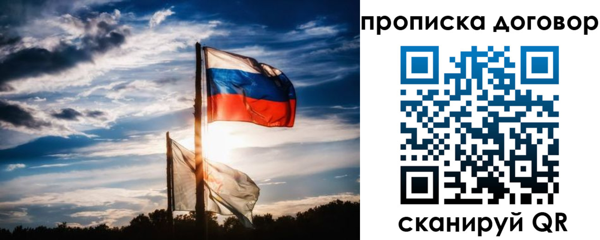 временная регистрация гарантия в Палласовке