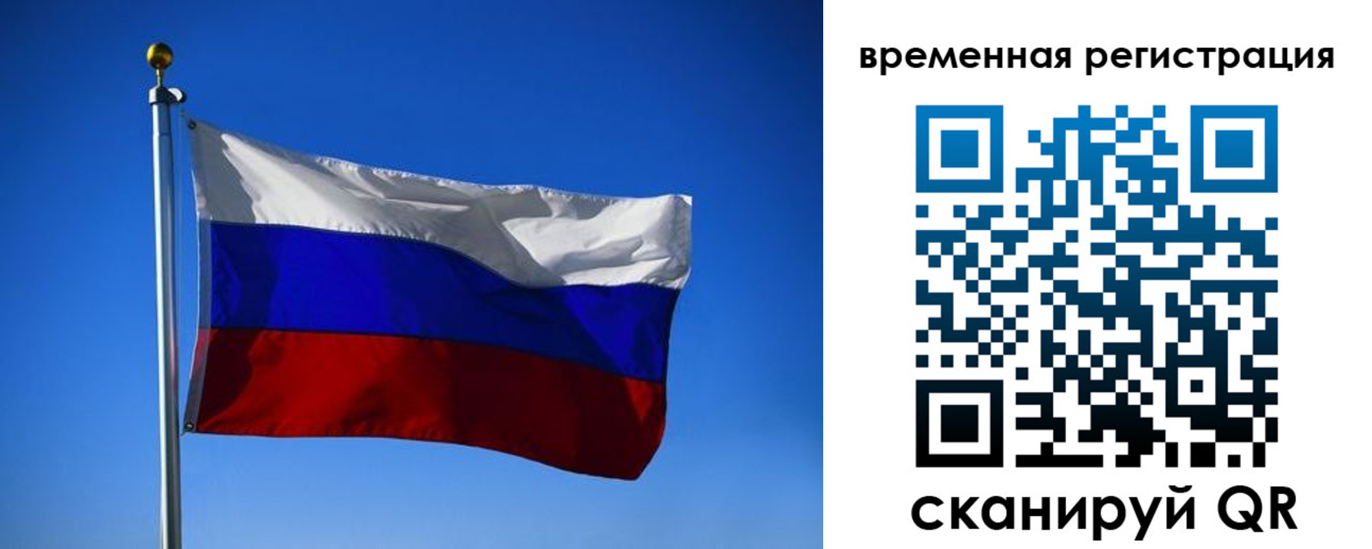 прописка штамп в Палласовке
